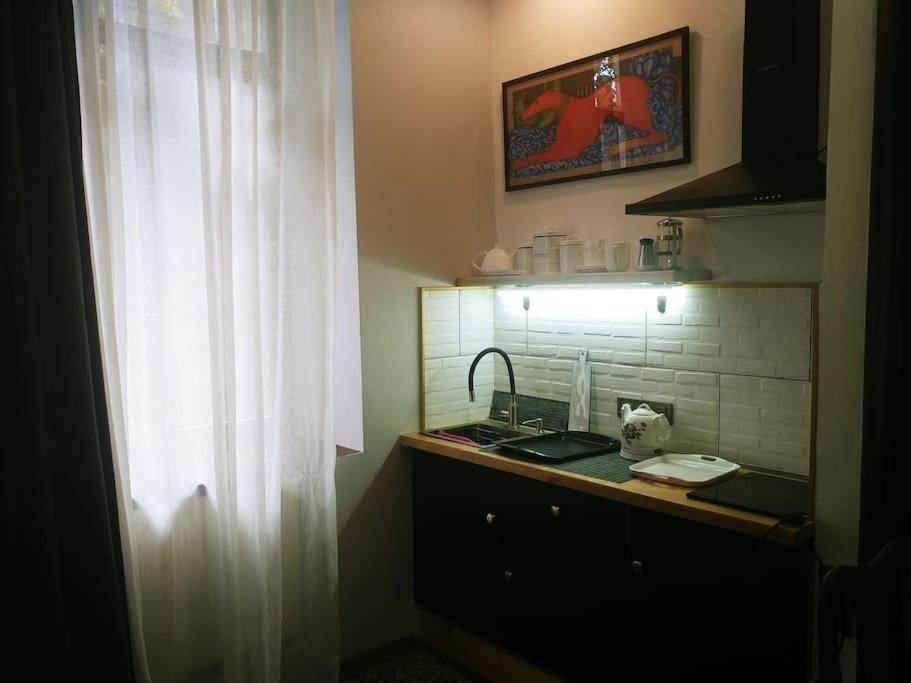 Cozy Studio-Apartment In The Center Of Tbilisi Eksteriør billede